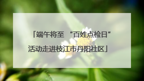 端午将至 “百姓点检日”活动走进枝江市丹阳社区