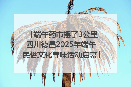 端午药市摆了3公里 四川德昌2025年端午民俗文化寻味活动启幕