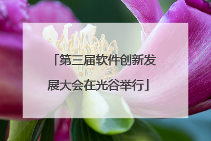 第三届软件创新发展大会在光谷举行