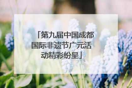 第九届中国成都国际非遗节广元活动精彩纷呈