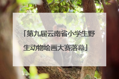 第九届云南省小学生野生动物绘画大赛落幕