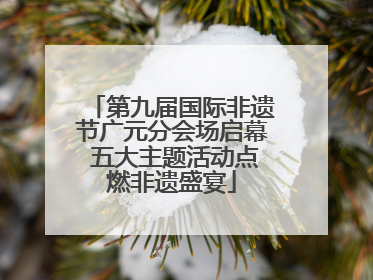 第九届国际非遗节广元分会场启幕 五大主题活动点燃非遗盛宴