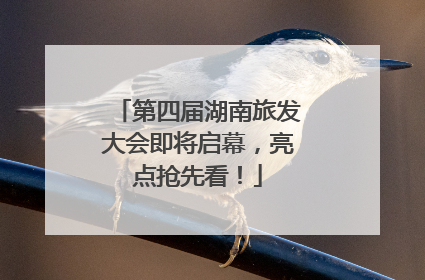 第四届湖南旅发大会即将启幕，亮点抢先看！