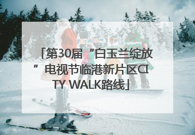 第30届“白玉兰绽放”电视节临港新片区CITY WALK路线