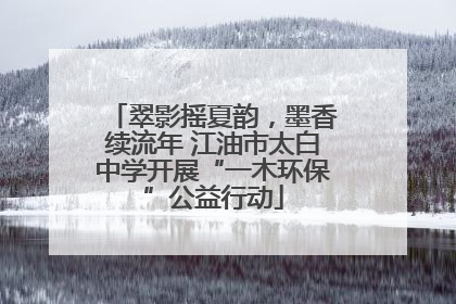 翠影摇夏韵，墨香续流年 江油市太白中学开展“一木环保”公益行动