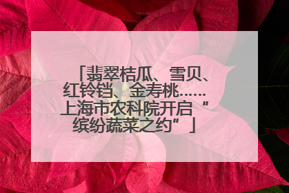 翡翠桔瓜、雪贝、红铃铛、金寿桃……上海市农科院开启“缤纷蔬菜之约”