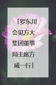 罗东川会见方大集团董事局主席方威一行