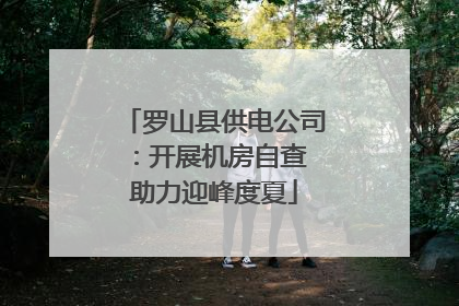 罗山县供电公司：开展机房自查 助力迎峰度夏