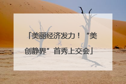 美丽经济发力！“美创静界”首秀上交会