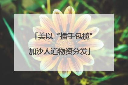 美以“插手包揽”加沙人道物资分发