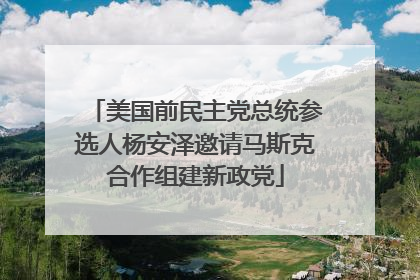 美国前民主党总统参选人杨安泽邀请马斯克合作组建新政党