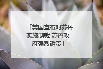 美国宣布对苏丹实施制裁 苏丹政府强烈谴责