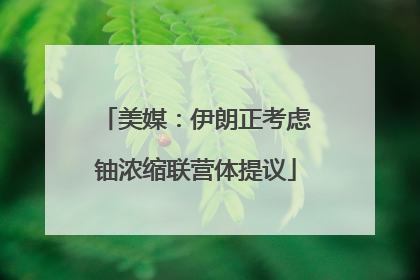 美媒：伊朗正考虑铀浓缩联营体提议