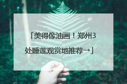美得像油画！郑州3处睡莲观赏地推荐→