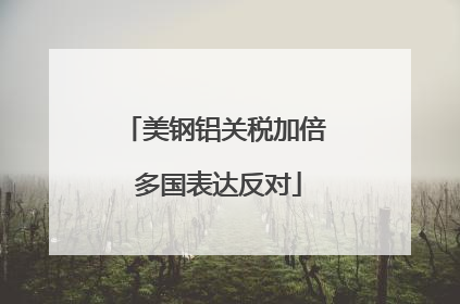 美钢铝关税加倍 多国表达反对