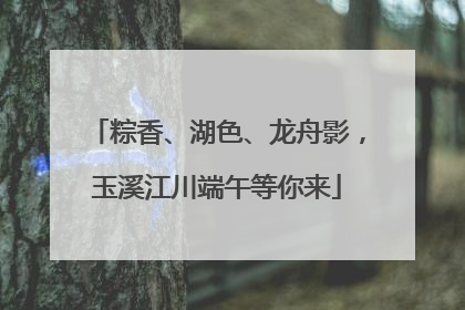 粽香、湖色、龙舟影，玉溪江川端午等你来
