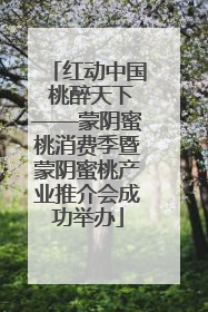 红动中国 桃醉天下——蒙阴蜜桃消费季暨蒙阴蜜桃产业推介会成功举办