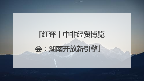 红评丨中非经贸博览会：湖南开放新引擎