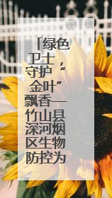 绿色卫士，守护“金叶”飘香—竹山县深河烟区生物防控为烟田筑起生态屏障