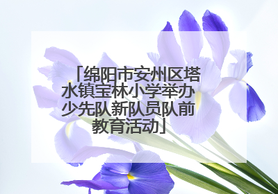 绵阳市安州区塔水镇宝林小学举办少先队新队员队前教育活动