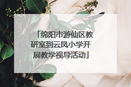 绵阳市游仙区教研室到云凤小学开展教学视导活动