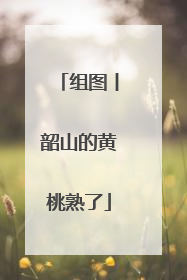 组图丨韶山的黄桃熟了