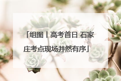 组图丨高考首日 石家庄考点现场井然有序