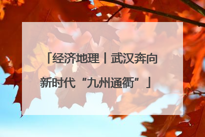经济地理丨武汉奔向新时代“九州通衢”