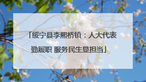 绥宁县李熙桥镇：人大代表勤履职 服务民生显担当