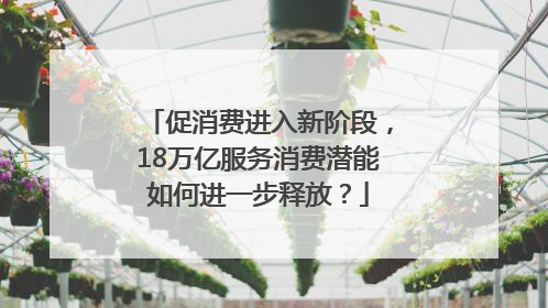促消费进入新阶段，18万亿服务消费潜能如何进一步释放？