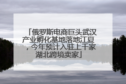 俄罗斯电商巨头武汉产业孵化基地落地江夏，今年预计入驻上千家湖北跨境卖家