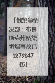 俄紧急情况部：布良斯克州桥梁坍塌事故已致7死47伤