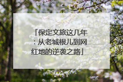 保定文旅这几年：从老城根儿到网红地的逆袭之路