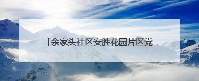 余家头社区安胜花园片区党支部开展廉政主题党日活动