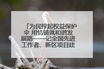 为民撑起权益保护伞 用情铺就和谐发展路——记全国先进工作者、新区项目建设中心干部卢小勇