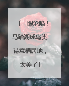 一眼沦陷！马踏湖成鸟类诗意栖居地，太美了
