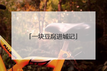 一块豆腐进城记