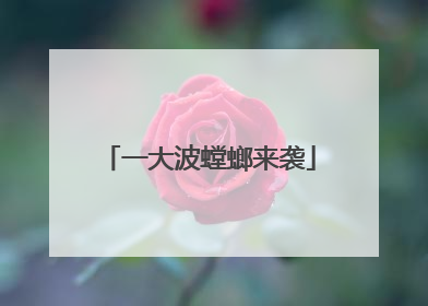 一大波螳螂来袭