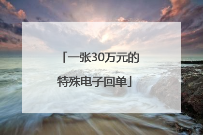 一张30万元的特殊电子回单