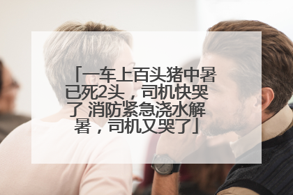 一车上百头猪中暑已死2头，司机快哭了 消防紧急浇水解暑，司机又哭了