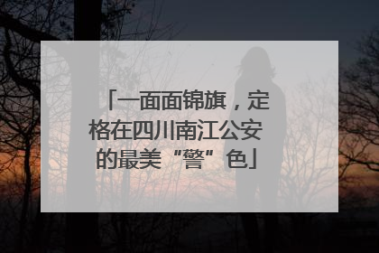 一面面锦旗，定格在四川南江公安的最美“警”色