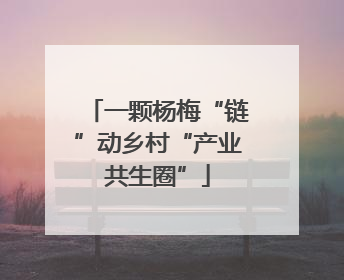 一颗杨梅“链”动乡村“产业共生圈”