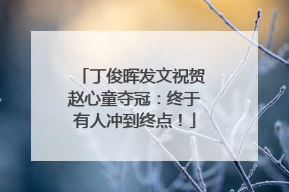 丁俊晖发文祝贺赵心童夺冠：终于有人冲到终点！