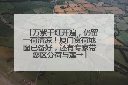 万紫千红开遍，仍留一荷清凉！厦门赏荷地图已备好，还有专家带您区分荷与莲→