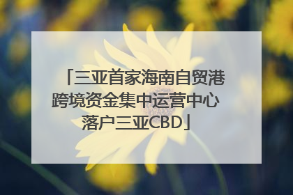 三亚首家海南自贸港跨境资金集中运营中心落户三亚CBD