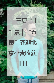 三夏“丰”景｜“五良”齐迎北京小麦收获日