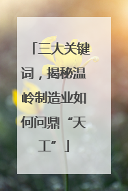 三大关键词，揭秘温岭制造业如何问鼎“天工”