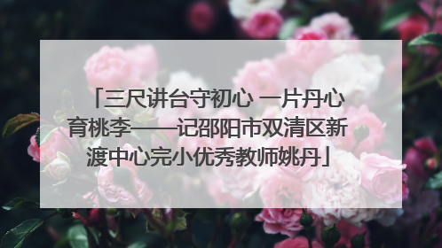 三尺讲台守初心 一片丹心育桃李——记邵阳市双清区新渡中心完小优秀教师姚丹