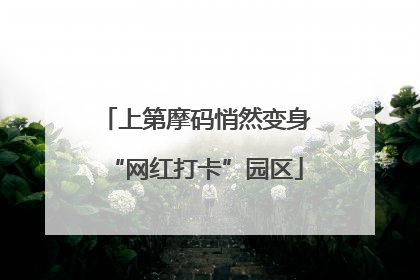 上第摩码悄然变身“网红打卡”园区
