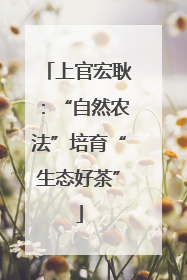 上官宏耿：“自然农法”培育“生态好茶”